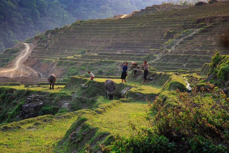 Sapa, Vietnam